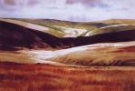 Alan Bailey - Wild Moor, watercolour