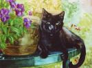 Black cat watercolour by Rachel Slaney