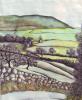 View near Coombs (pen and ink/watercolour pencils) by Rachel Slaney