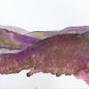 'And the hills were purple' by Fiona Jubb