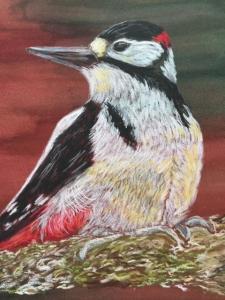 Woodpecker (credit: Judith Ramczyk)