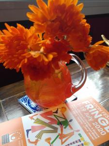 Fringe marigolds in full bloom.