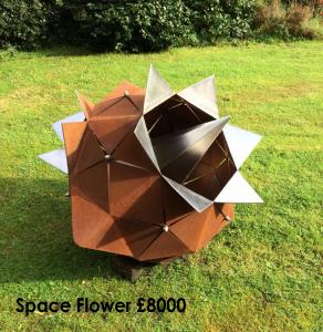Space Flower - Joanne Risley 