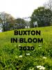 Buxton in Bloom 2020 Title - slopes crown