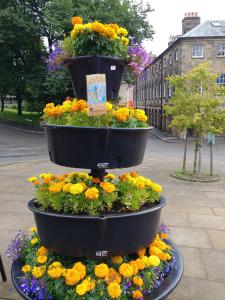 A beautiful Fringe hot spot outside the Opera House (Stephanie Billen 2021)