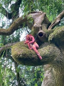 Gaia by Alison Rose, part of the Up Here  Sculpture Trail (Linda Rolland 2021)