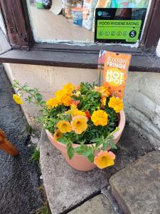 Fringe Hot Spots are springing up including this one at Day Zero (SB)