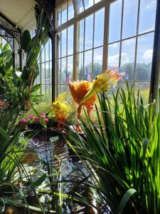 Floella and baby are back in the Pavilion Gardens Conservatory for the Fringe (SB)