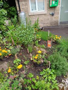 Fringe Hot Spots can be found all over Buxton (SB)