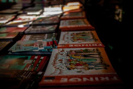 Through The Lens Photography