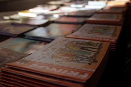 Through The Lens Photography