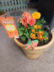 Fringe Hot Spots brighten Buxton (credit: Stephanie Billen 2026)