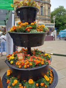 The sun brings out even more flowers at the Opera House Hot Spot (SB)